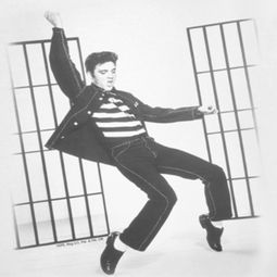 Elvis Presley Jailhouse Rock Shirts Breaking In Shoes, Mode Rockabilly, Rockabilly Mode, Elvis Presley Graceland, 85th Birthday, Jailhouse Rock, Bags Online Shopping, Mens Crewneck Sweatshirt, Rockabilly Style