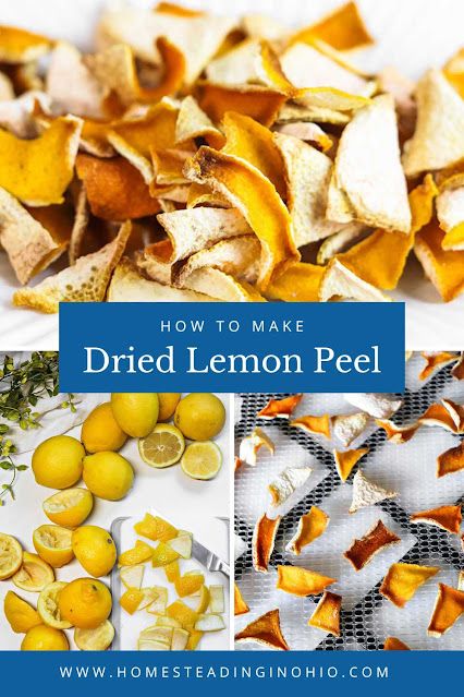 How to Make Dried Lemon Peel (Dehydrator, Oven, Air Fryer) Lemon Peel Uses, Dehydrated Lemon Peel, Lemon Peel Recipes, Dried Lemon Zest, Lemon Water Health Benefits, Lemon Peels, Storing Lemons, Dried Lemon Peel, Oven Air Fryer