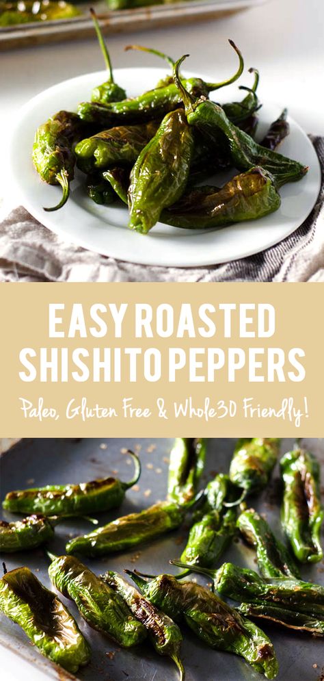 Roasted Shishito Peppers, Shishito Pepper Recipe, Shishito Peppers, Snacks Für Party, Peppers Recipes, Perfect Appetizers, Healthy Side Dishes, Whole 30 Recipes, Whole 30