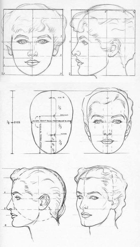 Face Dimensions Drawing, Face Diagram, Face Anatomy Drawing, Proportions Of The Face, Face Proportions Drawing, Random Sketch Ideas, Planes Of The Face, Portrait Drawing Tips, Easy Sketches