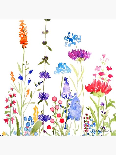 "hand painted colorful wild flowers watercolor painting" Pillow for Sale by ColorandColor | Redbubble Wild Flower Painting Simple, Paint Flowers Watercolor, Easy Flowers To Paint, Easy Flower Painting Ideas, Wild Flowers Painting, Watercolor Jewelry, Mini Watercolor, Watercolour Ideas, Flowers Paintings