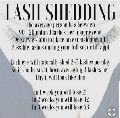 Lash Shedding, Eyelash Extensions Aftercare, Eyelash Extensions Salons, Lengthen Eyelashes, Lash Lounge, Eye Lash Extensions, Lash Extentions, Long Hair Clip, Lash Bar