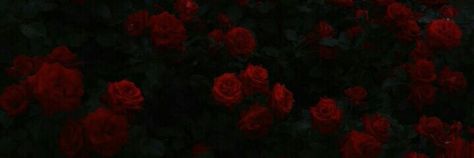 Rosé Twitter Header, Rosé Header, Rosé Gif, Cute Headers For Twitter, Twitter Header Pictures, Aesthetic Roses, Twitter Header Aesthetic, Cute Banners, Cute Headers