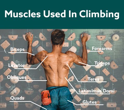 Whether you want to be more active or are bored at the regular gym and want to mix it up by joining a climbing gym, you may be wondering if climbing can replace exercise. This article goes through the main muscles that climbing builds, discuss whether or not you can replace exercising with climbing and if you should supplement climbing with weight training. Exercises For Climbers, Climbing Training Workouts, Climbing Exercises Training, Climbing Workout Training, Climbing Workout At Home, Rock Climbing Exercises, Climbing Stretches, Rock Climbing Tips, Climbing Exercises