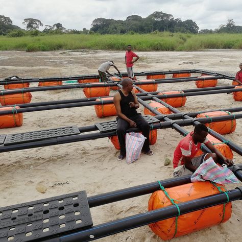 8mx8m Aquaculture Square Fish Farming Cages Floating Net for Tilapia https://m.alibaba.com/product/60631115129/8mx8m-Aquaculture-Square-Fish-Farming-Cages.html?__sceneInfo={"cacheTime":"1800000","type":"appDetailShare"} Tilapia Fish Farming, Prawn Farming, Aquaponics Fish, Prawn Shrimp, Floating Dock, Farm Ideas, Buy Fish, Fish Farming, Timber House