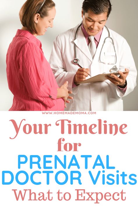 Pregnancy Appointment Timeline, New Mom Needs, Pregnancy Timeline, Early Pregnancy, Mom Needs, Pregnancy Information, Newborn Hacks, Pumping Moms, Baby Facts