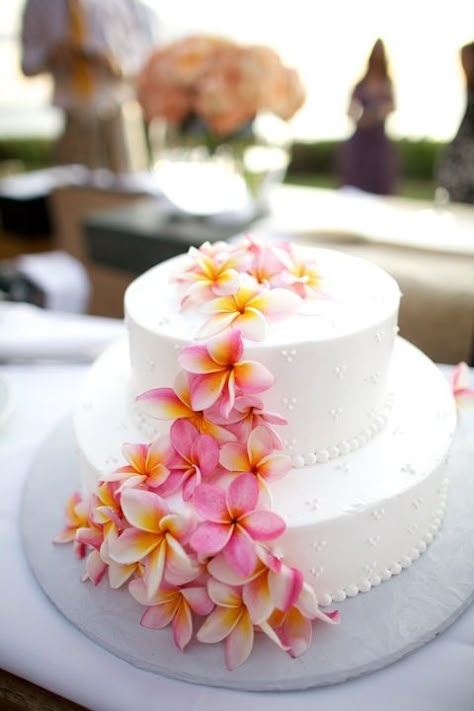 Heather Wedding, Tropical Wedding Cake, Wedding Hawaii, Wedding Cake Roses, Hawaii Destination Wedding, Beach Wedding Cake, Plumeria Flowers, Hawaiian Wedding, Maui Weddings