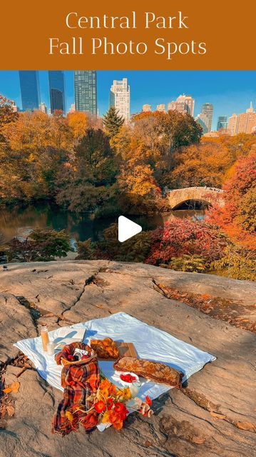 Yu "Fish" Cui ✿NYC on Instagram: "SAVE these Central Park foliage photo spots for the NYC fall season🍁🍂
✨Follow @fishsflourish for more NYC travel tips. More fall guides coming up! 
Here are my favorite photo spots to capture beautiful fall foliage colors in
Central Park:
📍The Mall
📍Bow Bridge
📍Row Boat at The Lake
📍William Shakespeare Statue
📍Gapstow Bridge
·
·
·
· #mysecretnyc #prettycitynewyork #nyctrip #newyorkcitylife #newyorktrip #nycfun #nycfall #centralpark
NYC travel, nyc weekends, nyc fun things to do, nyc trips, nyc fall" Central Park Fall, Travel Nyc, Weekend In Nyc, Nyc Fall, Nyc Travel, Nyc Trip, Row Boat, At The Lake, New York Travel