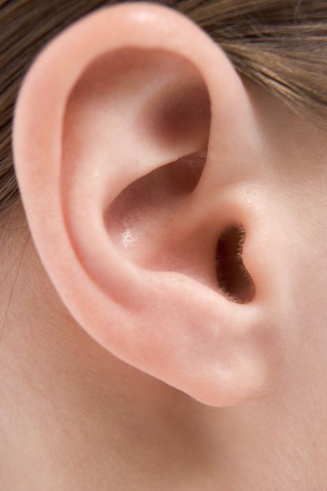 How to Improve Inner Ear Circulation | Livestrong.com Neck Cracking, Ear Anatomy, How To Draw Ears, Human Ear, Ear Health, Inner Ear, Human Reference, Anatomy Drawing, Body Reference