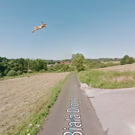 I Am Traveling Around Poland With Google Street View, Here Are 60 Of The Best Pics That I Found Poland Street, Street Pictures, Google Street View, Best Pics, Change Image, Travel Around, View Photos, Animal Pictures, Google Photos