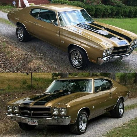 ❤️ 70 Chevelle, Chevy Chevelle Ss, 1970 Chevelle, Chevrolet Chevelle Ss, Car Wheels Rims, Chevy Muscle Cars, Vintage Muscle Cars, Chevy Chevelle, Cars Muscle