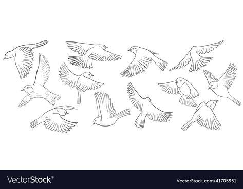 Birds Flying Drawing, Flying Birds Drawing, Bird Flying Drawing, Flying Bird Drawing, Drawing Sitting, Outline Pictures, Book Drawings, Fly Drawing, Drawing Refrences