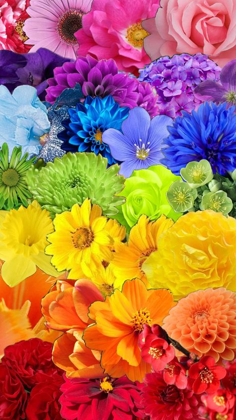 #pride #rainbow #flowers Pride Flowers, Multi Colored Flowers, Rainbow Flower, Pride Rainbow, Rainbow Flowers, Dream Art, Soho, Wedding Flowers, Multi Color