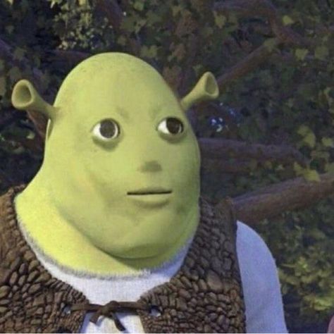 Shrek Shrek Funny, Shrek Memes, Weird Images, Goofy Pictures, Funny Profile, 웃긴 사진, Funny Profile Pictures, Meme Template, Funny Reaction Pictures