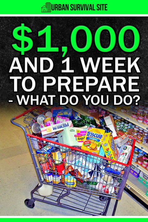 If you had $1000 and one week to prepare for an emergency, what would you do? This guide will tell you what to buy and how to prepare.