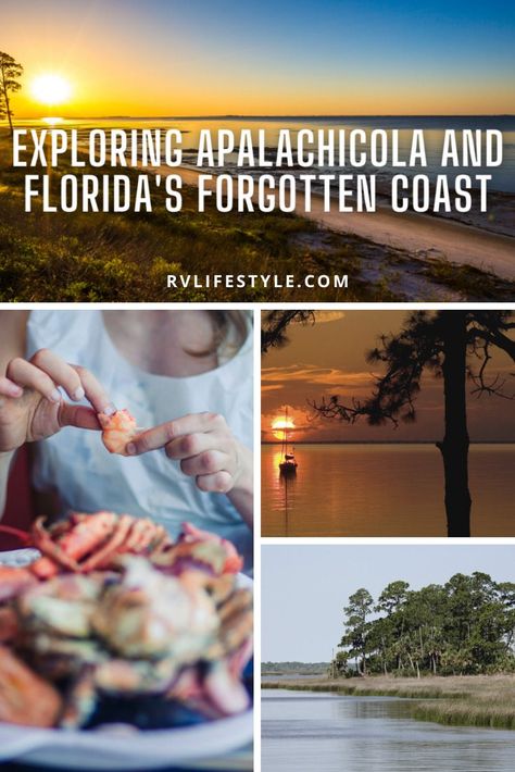 What are the best things to do near Apalachicola and an area known as “Florida’s Forgotten Coast?” Let's explore. via @rvlifestylemike Rv Packing List, Apalachicola Florida, Rv Videos, Florida State Parks, Mexico Beach, Rv Lifestyle, Emerald Coast, Rv Travel, Nature Trail