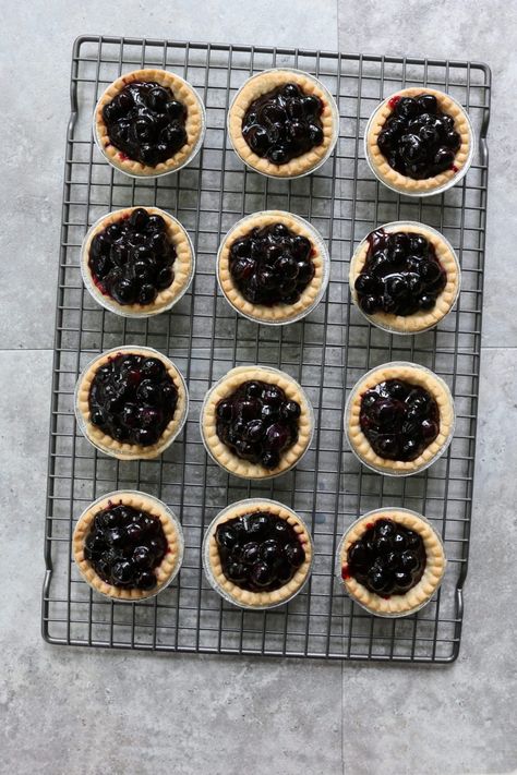 Blog Flog: Saskatoon (or Blueberry) Tarts - Dinner With Julie Saskatoon Tarts Recipe, Saskatoon Berry Tarts, Saskatoon Tarts, Saskatoon Pie, Saskatoon Recipes, Saskatoon Berry Recipe, Empty Coffee Cup, Saskatoon Berry Pie, Blueberry Tart Recipe