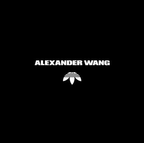 ALEXANDER WANG x adidas 2017 Adidas Original, Alexander Wang, Alexander, Motion, Adidas, ? Logo, Quick Saves, Design