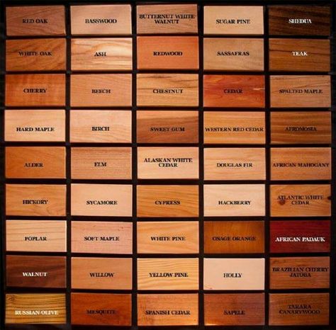 Wood Identification Chart Ormanlık Alan, Woodwork Projects, Wood Sample, Got Wood, Different Types Of Wood, Diy Holz, Into The Woods, Woodworking Techniques, Wood Color