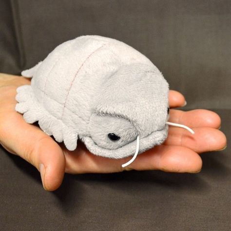 #Plush #plushie #Cute #aesthetic #stuffedanimal #buildabear #stuffed #teddybear #plushanimal #bear #toy #childhoodtoy #tiktok Isopod Stuffed Animal, Giant Isopod Plush, Giant Isopod Cute, Isopod Plush, Giant Plushies, Miniatures Polymer Clay, Giant Isopod, Food Clay, Weighted Plush