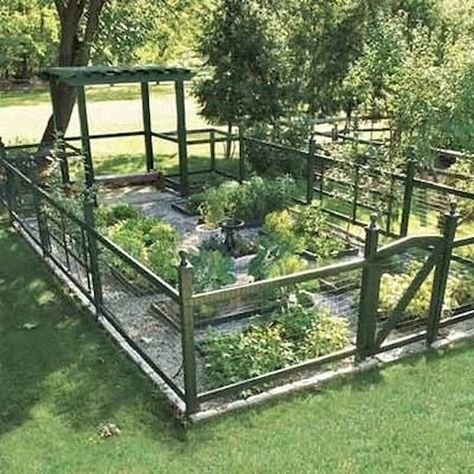 32 Vegetable Garden Fence Ideas | Balcony Garden Web Fenced Vegetable Garden, Diy Garden Fence, Garden Layout Vegetable, Have Inspiration, Wire Fence, The Secret Garden, Vegetable Garden Design, Garden Bed, Garden Fencing