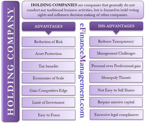 If you are looking to start a Holding company or you want to invest in a holding company, This guide will help you know more about benefits and cons of a Holding Company Holding Company Structure, Accounting Hacks, Learn Accounting, Accounting Basics, Company Structure, Economics Lessons, Indirect Tax, Strategic Management, Accounting Principles