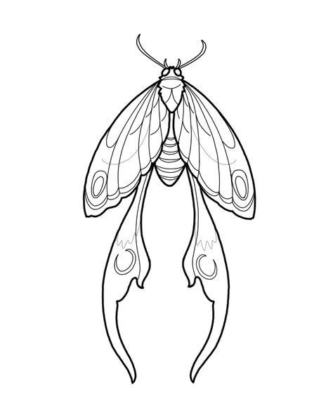 Moth Tattoo Line Art, Moths Tattoo Design, Moth Henna Tattoo, Line Art Stencil, Luna Moth Line Art, Lunar Moth Tattoo Design Simple, Luna Moth Drawing Simple, Cottagecore Line Art, Moth Line Tattoo