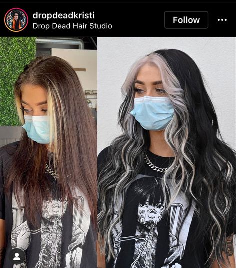 Black Hair Grey Underneath, Black And Silver Halo Hair, Grey Face Framing Highlights, Grey Money Piece Hair, Ash Black Hair Color, Hairstylist Inspiration, Alt Hair, Black To Blonde Hair, Hand Tied Extensions