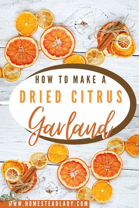 dried citrus slices in a garland Dehydrate Citrus, Dried Citrus Garland, Citrus Garland, Dehydrated Citrus, Vinegar In Laundry, Dried Citrus, Citrus Slices, Garland Diy, Dried Lemon