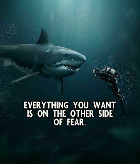 Shark Quotes Inspirational, Shark Quotes, Gratitude Mindset, Logic Quotes, Motvational Quotes, African Quotes, Gentleman Quotes, Cheesy Quotes, Positive Quotes For Life Motivation