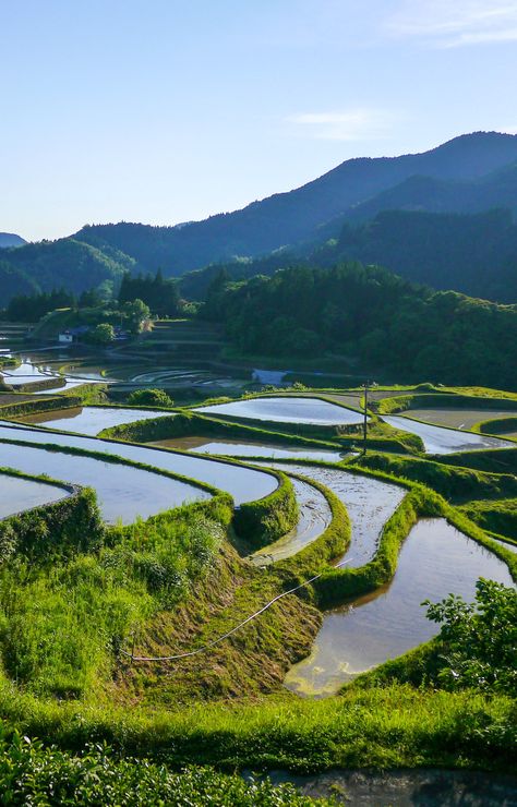 #japan #riceterraces #kumamotoriceterraces #japanesenature #natureinjapan Japanese Rice Fields, Japanese Minecraft Builds, Japanese Sayings, Md Notebook, Background Reference, Japanese Nature, Cozy Hygge, Rice Fields, Rice Terraces