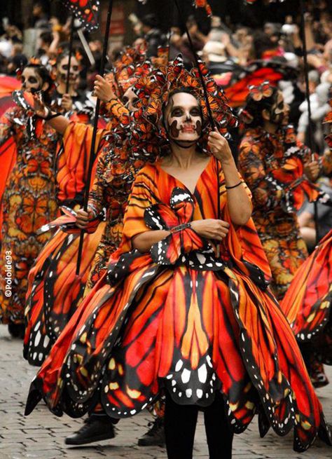 10+ Dazzling Costumes Show The Day of The Dead’s Rich Tradition Monarch Butterfly Costume, Butterfly Costume, Overwintering, Monarch Butterflies, The Arrival, Monarch Butterfly, Shades Of Orange, Dia De Muertos, Day Of The Dead