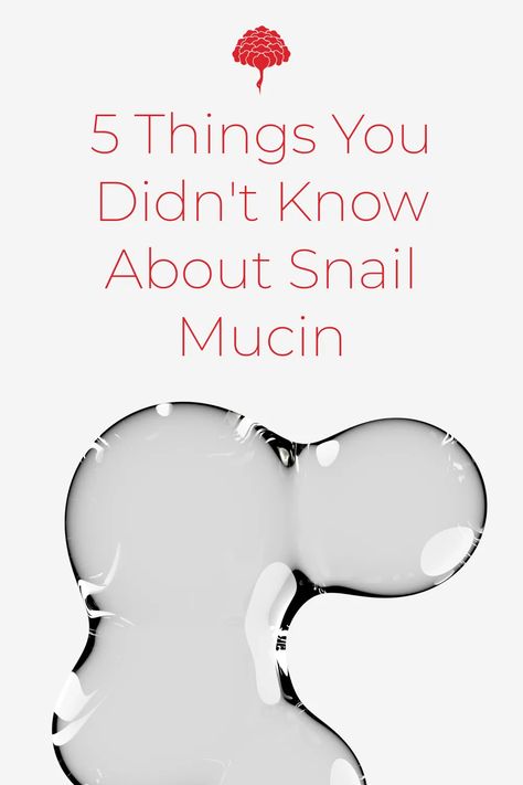 If you're looking for a simple and effective hydration station that plays nice with all products and skin types, snail mucin fits well in your routine Snail Mucin Before And After, Face Cleaning Routine, Facial Benefits, Hydration Station, Facial Routines, Snail Mucin, Skin Tissue, Skin Prep, Skin Care Brands