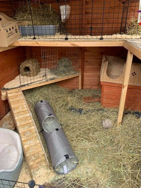 Bunny Shed Ideas, Guinea Pig Shed Ideas, Rabbit Shed Ideas Outdoor, Rabbit Shed Ideas, Diy Rabbit House, Rabbit Hutch Ideas, Bunny Sheds, Outdoor Rabbit Run, Rabbit Playground