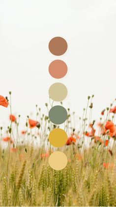 Fun Earthy Color Palette, Copper Spring Color Palette, Color Palettes Design, Wildflower Color Scheme, May Color Palette, Botanical Color Palette, Whimsical Color Palette, Colorful Minimalism, Website Color Palette