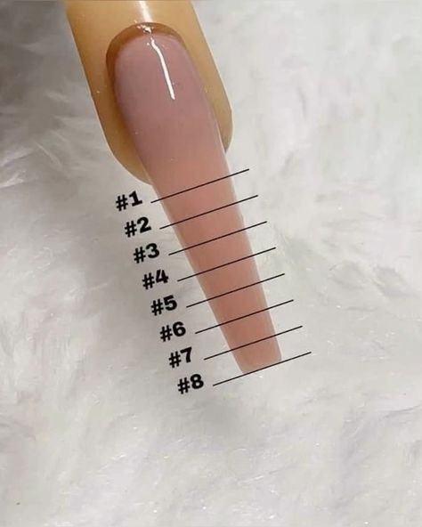 Fake Nail Length Chart, Acrylic Nails Sizes Chart Length, Ballerina Nail Shape Long, Square Nails Length Chart, Nails Length And Shape, Different Nail Shapes And Lengths, Acrylic Nail Sizes Chart Length, Different Lengths Of Nails, Square Nail Lengths