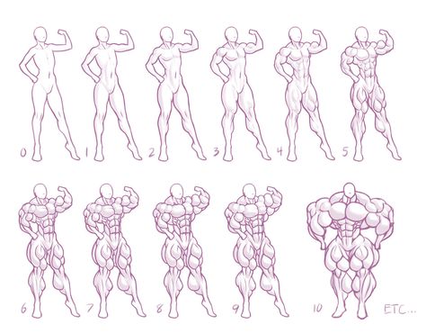 Female Muscular Body Drawing, Buff Wemon Drawing, Muscle Base Drawing, Female Muscle Reference Drawing, Muscular Woman Art Reference, Muscular Female Reference Drawing, How To Draw Muscular Women, Muscle Girl Drawing, Female Muscle Drawing