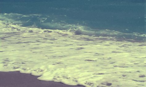 beach GIF - Find & Share on GIPHY Ocean Gif, Summer Gif, Retro Images, Weird Dreams, Hawaii Beaches, Old Video, Aesthetic Gif, Steve Jobs, Film Aesthetic