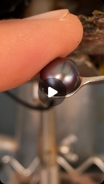 Kamoka Tahitian Pearls on Instagram: "Impeccable Chocolate Cherry Pearl emerges from this Oyster 😍🍫🍒 #kamoka #kamokapearl" Cherry Pearl, Chocolate Pearls, Black Pearls, Chocolate Cherry, Tahitian Pearls, Black Pearl, Cherry, On Instagram, Quick Saves