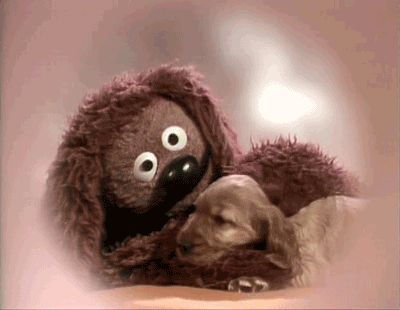 Rowlf The Dog, Don Knotts, Fraggle Rock, The Muppet Show, The Muppets, Live Animals, Kermit The Frog, Jim Henson, My Buddy