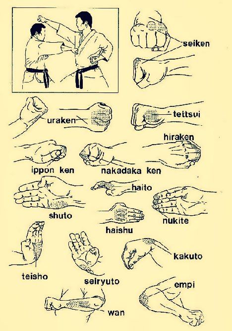 karate striking terminology .... Something i need to improve :/ Karate Techniques, Goju Ryu Karate, Jiu Jutsu, Conquer Fear, Goju Ryu, Martial Arts Sparring, Kyokushin Karate, Best Martial Arts, Shotokan Karate