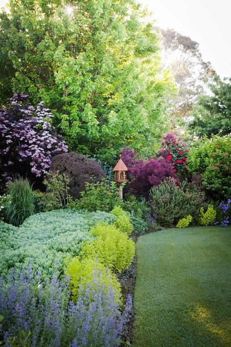 Flower Garden Design Ideas, Landscaping Ideas On A Budget, Australian Garden, Flower Garden Design, Garden Shrubs, Backyard Landscaping Ideas, Most Beautiful Gardens, Garden Design Ideas, The Secret Garden