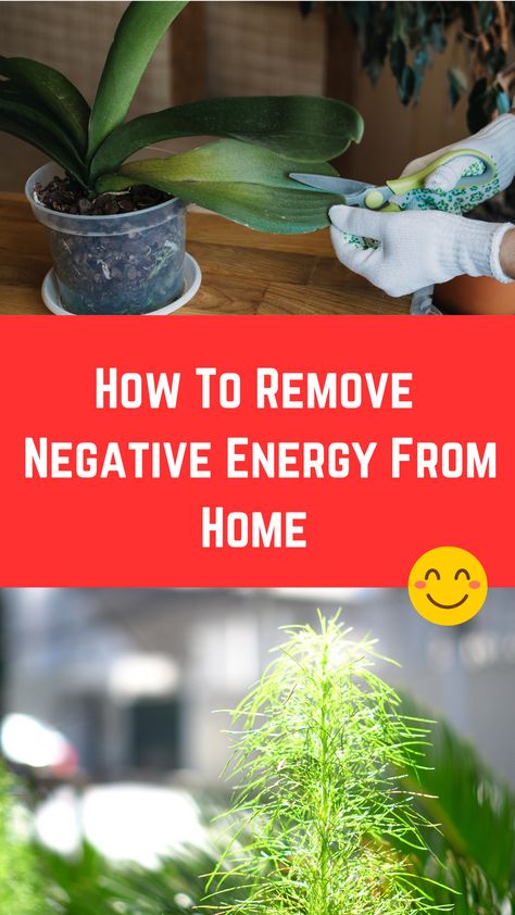 How To Remove Negative Energy From Home (Top 10 Tips) How To Remove Negative Energy, Success At Work, Remove Negative Energy, Removing Negative Energy, Negative Energy, From Home, Top 10, Energy, 10 Things