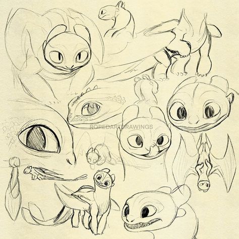 Httyd Reference Sheet, How To Train Your Dragon Deadly Nadder, Light Fury Reference, Httyd Toothless Art, Nightfury Reference, Cute Toothless Drawing, Night Fury Sketch, Light Fury Drawing, Httyd Reference