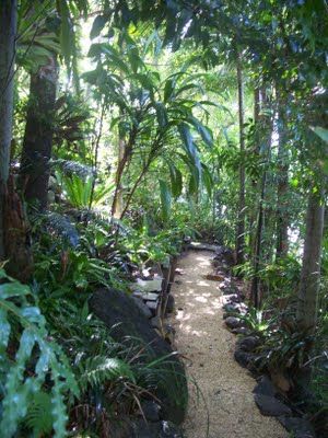 Meryl's Garden Fruit Forest, Tropical Backyard Landscaping, Stunning Gardens, Jungle Landscape, Jaguar Tattoo, Pathway Landscaping, Tropical Garden Design, Jungle Gardens, Tropical Backyard