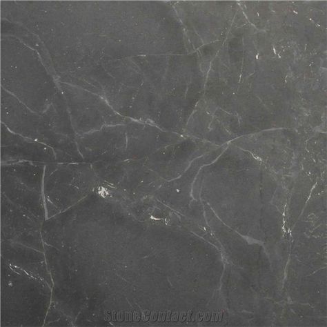 Black Diamond Quartzite Black Quartzite, Marble Kitchen Counters, Quartzite Countertops, Future Kitchen, Kitchen Marble, Kitchen Remodel Idea, Interior Wall, Interior Walls, Pressed Flowers