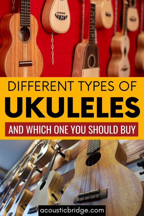 Are you looking for a Ukulele but don't what kind to get? Check out this guide to the different types of ukuleles and advice on which kind is right for you. Types Of Ukulele, Ukulele Sizes, Tenor Ukulele, Ukulele Chords, Local Music, Ukelele, Types Of Music, Learn Guitar, Music Store