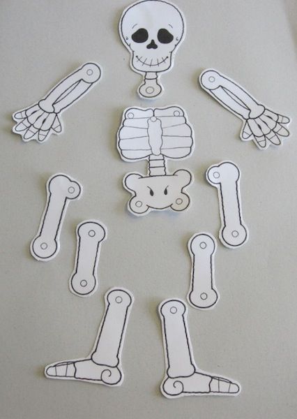 This Skeleton Craft Is Perfect for Halloween & Día de Los Muertos Human Body Preschool, Skeleton Template, Skeleton Craft, Body Preschool, Afternoon Crafts, Purposeful Play, Kids Singing, Play And Learn, Binder Cover