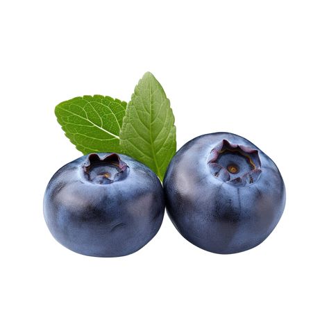 Fresh ripe blueberries isolated on transparent background Blue Fruit, Fruit Photography, Fruit Art, Blueberries, Free Png, Transparent Background, Royalty, Royalty Free, For Free