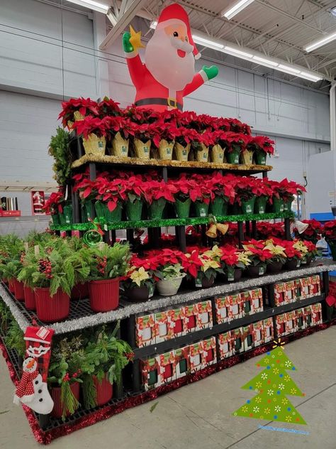 Produce Displays, Retail Merchandising, Floral Display, House Plants, Christmas Decorations, Halloween, Holiday Decor, Floral, Christmas